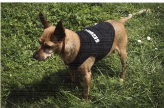 Canal Sud : occuper la nuit du 30 janvier au 6 février