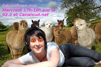 Canal Sud : Déconfinez-moi - 1h de good vibes et de bonnes nouvelles