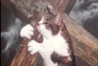 Canal Sud : //brasero// Rentrée foutraque