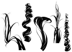 Canal Sud : //brasero//Brasero cheveux