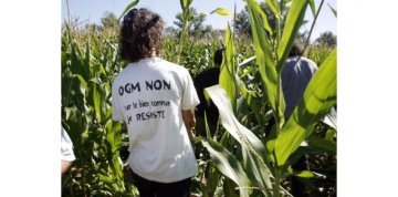 Canal Sud : Un faucheur sachant faucher ! Les faucheurs d'OGM dans le magazine