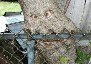 Canal Sud : //brasero// Fini de rire ?